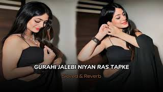 gurahi jalebi niyan ras tapke slowedreverb  Bhojpuri song  with [upl. by Shippee]