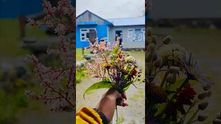 Mountain Flowers📍Langtang Village🇳🇵Nepal shortsvideo shortsfeed travel nepal [upl. by Ynaiffit]