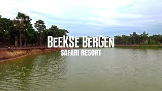 Beekse Bergen  Safari Resort [upl. by Norok]