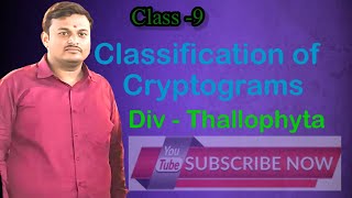 Class9thClassification of plantsDivThallophyta [upl. by Zeke]