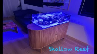 NANO SHALLOW REEF Aquarium Relaxation  Nano Shallow Tank [upl. by Follansbee]