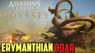 How to Defeat Erymanthian Boar in Assassin’s Creed Odyssey [upl. by Nerehs424]