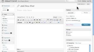 Displaying Meta Boxes in Advanced Post Options Wordpress [upl. by Luehrmann10]