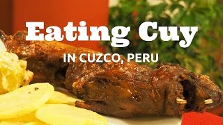 Cuy Eating Guinea Pig in Cusco Peru [upl. by Ahtimat]