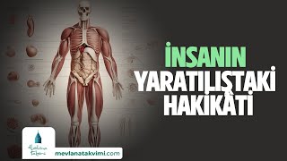 İNSANIN YARATILIŞTAKİ HAKİKÂTİ [upl. by Jarita]