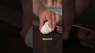 Beef Wellington Appetizer Bites recipe shorts [upl. by Yrrol130]