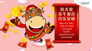 Happy Chinese quotNiuquot Year [upl. by Cavallaro155]