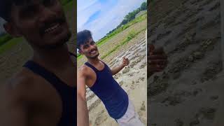 jindabad jawani jindabad kisani khet ropte samay mini vlogs [upl. by Sheelah]