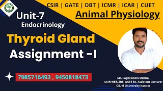 Assignment I  Thyroid Gland  Animal Physiologygenesisinstitute [upl. by Iralav]