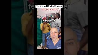 Doctor Explains  Rabies Scary Effects [upl. by Eltsirk233]