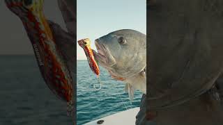 EPIC GIANT TREVALLY Fishing  Testing GT tackle at a remote coral reef Nomad Odyssey  Episode 3 [upl. by Lawley473]