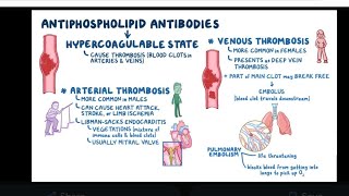 Mystery diagnosis antiphospholipid antibody syndrome [upl. by Nollaf847]