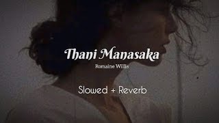 Thani Manasaka තනි මනසක  Romaine Willis  Slowed And Reverb  BN Music [upl. by Leann778]