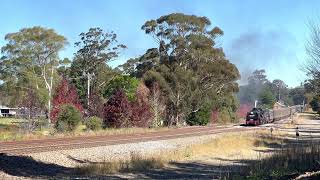 BeyerGarratt 6029 leads the Southern Aurora trainset [upl. by Ranchod45]