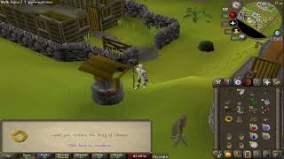 A Charming Individual  OSRS Ironman Progress Series Episode 11 [upl. by Ardnasal]