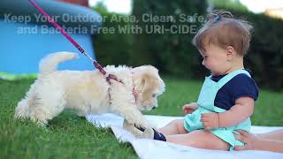 Neutralize Pet Odors in Your Yard [upl. by Ennaeerb]