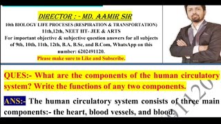 What are the components of the human circulatory system Write the functions of any two components [upl. by Paymar]