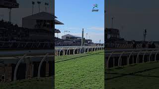 BREEDERS’ CUP CLASSIC 2024 [upl. by Pitzer]