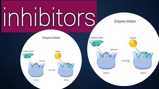 Inhibitors biology chapter 3 class11 [upl. by Lotz394]