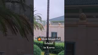 🇰🇷🍊3 day Trip to Jeju Island Without a Car  art museum aesthetic cafes what I ate  Korea VLOG [upl. by Eynobe]