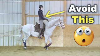 POSTING TROT FOR BEGINNERS TIPS 🐴 [upl. by Llednahs]