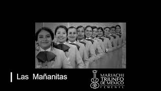 Las mañanitas  Mariachi Femenil Triunfo de México [upl. by Nairrod]