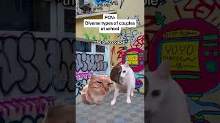 CAT MEMES 🐱Diverse types of couples at school catmemes relatable relationship [upl. by Molohs]