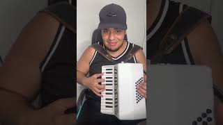 Tocando No Acordeon MIDI  MERCEDITA Sertanejo Raiz acordeon [upl. by Ykcor]