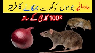 Rats ko ghar sy kaise bhagaye 😱 mouse Trip  chuhe bhagane ka Tarika [upl. by Atined]