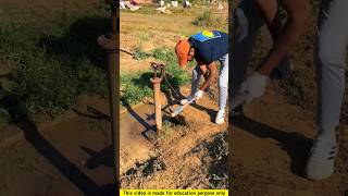 Tube well cemetery is clean 😱❔shorts facts [upl. by Theodosia]