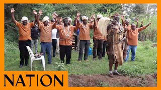 Kikuyu elders perform tradition rituals before cutting down Mugumo tree in Laikipia County [upl. by Nicram]