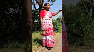 PART2 🌾🌿😇BAHA REDO SOHRAI REDO SANTALI SHORT VIDEO 2024💫🌾🌿 shortvideo [upl. by Lashondra]