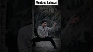 Bajiquan Reel kungfu wushutraditional shouternboxing [upl. by Bondy]