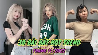 💥TỔNG HỢP  30 BÀI HÁT THỊNH HÀNH NHẤT TIK TOK THÁNG 112022 [upl. by Coltin495]