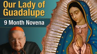 Cardinal Burke Novena To Our Lady of Guadalupe  9 Month Novena Prayer [upl. by Kristal]