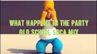 What Happens In The Party Old School Soca Mix ft Rupee Ricardo Drue Kevin Lyttle [upl. by Apollo]