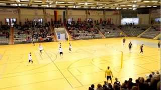 FaustballDM 2013 Finale TV Brettorf  TSV Pfungstadt [upl. by Reham171]