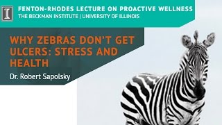 quotWhy Zebras Dont Get Ulcers Stress and Healthquot by Dr Robert Sapolsky [upl. by Tiffanie632]