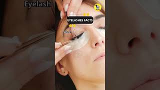 Eyelashes Facts shorts eyelashesfacts eyelashgrowth [upl. by Ayalat257]