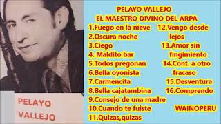 Pelayo vallejo mix [upl. by Aneeles]