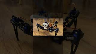 🕷️ Arduino Robot Spider Walks Autonomously  DIY Robotics Project shorts [upl. by Eduardo]