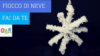 Esperimento di chimica con meno di 5 euro come fare neve finta in casa [upl. by Narine]