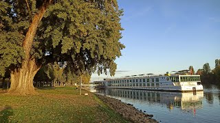 MS Lady Diletta von Plantours Kreuzfahrten unterwegs auf dem Rhein [upl. by Nolubez617]