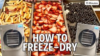 The Ultimate FreezeDrying FRUIT Collection  1 Hour of HowTo Videos [upl. by Mandeville]