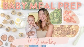 BABY FOOD MEAL PREP 912 MONTHS  FREE Downloadable Guide amp Recipes [upl. by Nailimixam]