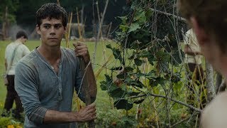 quotWe tried it alrightquot Newt shoots down Thomas escape ideas The Maze Runner [upl. by Hampton86]