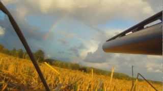 Goose Hunting In Sweden 2012 [upl. by Minnnie549]