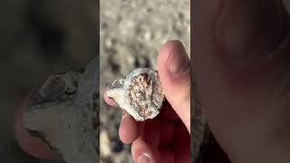 Geode Hunting in Utah High Desert [upl. by Jos]