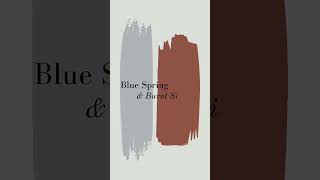 What Colors go with Benjamin Moore Paper White  Paint Color Inspiration  Paint Color Ideas [upl. by Marilla]