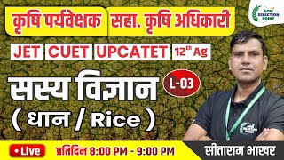 3  फसलोत्पादन  धान की फसल  Agri Supervisor  12th Ag  JET  CUET ASP Coaching Jaipur [upl. by Ermine]